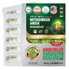 USA Mitazin coencia 60 capsules Ginkgo leaf extract nutritional supplement