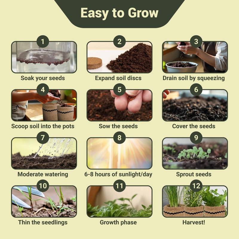 10 Herb Garden Planter Indoor Kit, 44pcs Complete Kitchen Herb