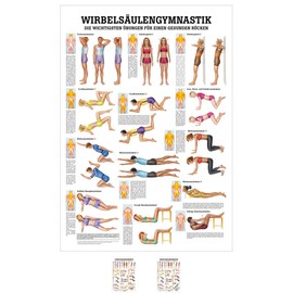 Sport-Tec Spine Gymnastics Mini Poster Anatomy 34 x 24 cm Medical Teaching Aid