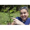 Health Embassy Stinging Nettle Leaf | Urtica Dioica L |