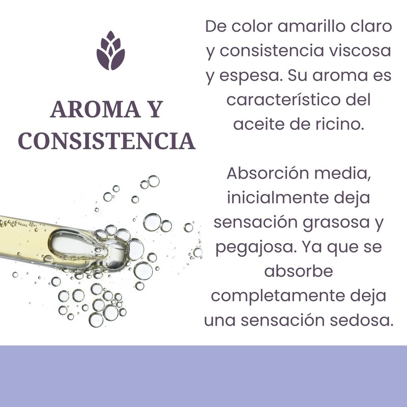 Aceite de Ricino LilaLavanda - Estimula Crecimiento de Pestañas y