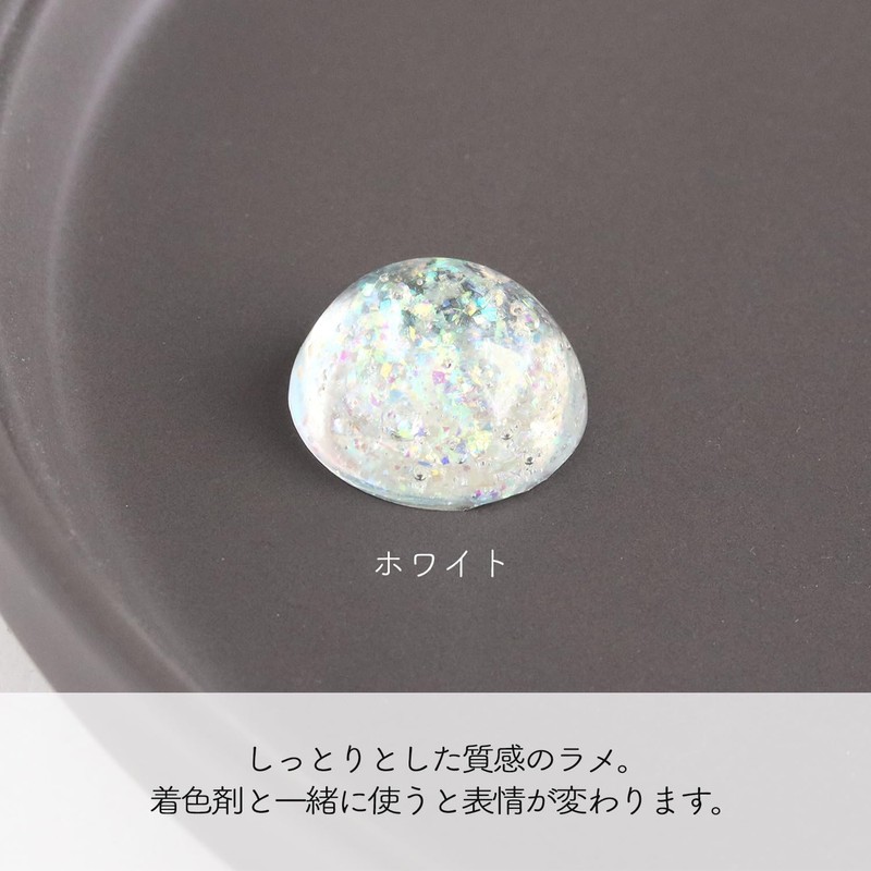 Tokyo Koeki T10-J Opal Glitter Powder, 6 Color Set, Approx.