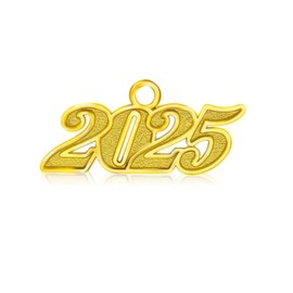 2025 Charms 2025 Graduation Decorations Gold 2025 Year Charm for 2025 Tassel Graduation Cap Tassel Charm 2025 Graduation Tassel Hat Decoration for Jewelry Making Accessory DIY Crafts Party Supplies