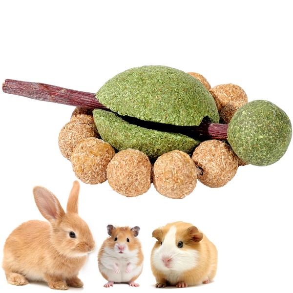 mini&moe Hamster Chew Toys for Teeth – Guinea Pig Chew