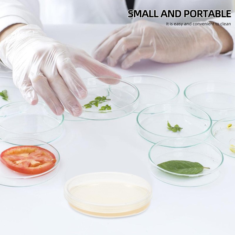 ibasenice Nutrient Agar Plate 10pcs Glass Petri Dish Science Kit