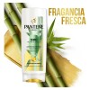 Acondicionador Pantene Pro Bambu X400ml