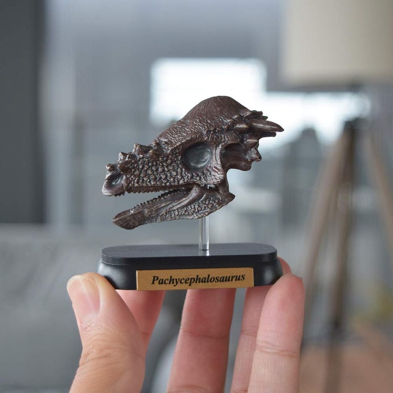 73508 Dinosaur pakikefarosaurusu Skull Mini Model (FDW – 508)