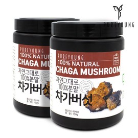 Pure Young Russian Chaga Mushroom Powder 150g+150g Chaga Mushroom Collection / 퓨어영 러시아 차가버섯 분말 150g+150g 차가버섯모음