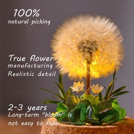 XZXYMYGS Light Up Dandelion in Glass Dome，Birthday Gifts，Flower Gifts for Women Girlfriends Wives Mothers Daughters Sons，Desk Decor Valentine's Day Mother's Day Christmas Thanksgiving Day，Green Leaf