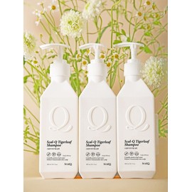Dandruff itching relief hair loss functional shampoo 500ml 3pcs / 비듬 가려움 완화 탈모 기능성 샴푸 500ml 3개