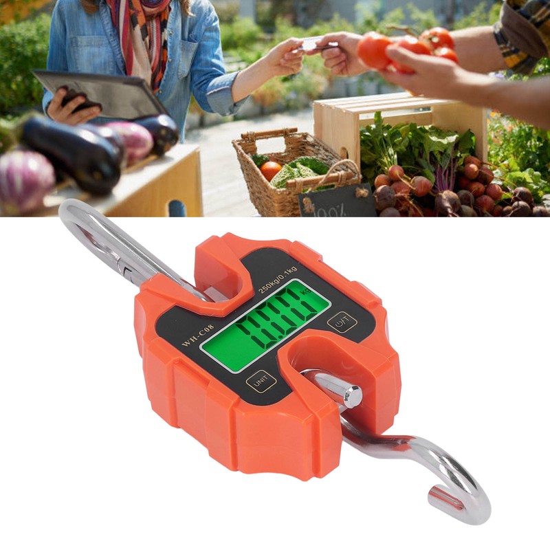 Mini Digital Crane Scale 250kg Range Portable Detachable LCD Display