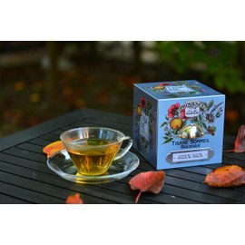 Bio Schlaftee – Metallkoffer – 24 Teesieb