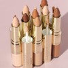 Wander Beauty Dualist Matte & Illuminating Concealer Makeup - Golden