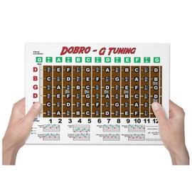 Dobro G Tuning Resonator Guitar Fretboard Note & Rolls Chart - Beginners & Intermediate Instructional Easy Poster Chords 8.5x11 | A New Song Music