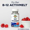 KAL B-100 Complex - Sustained Release Vitamin B Complex -