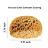 Knockdown Texture Sponge, Large 5.5x4.6x2.6'' Drywall and Wall Patch Ceiling