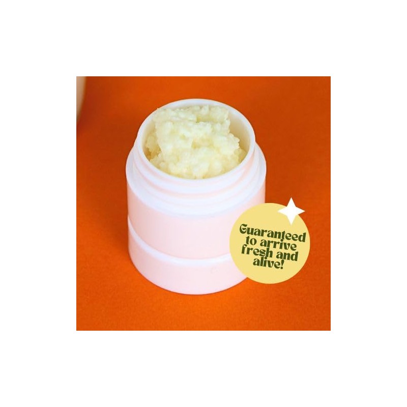 Simply Life Probiotics Milk Kefir Grains,Turkish Strain, Pajaritos de Leche,