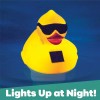 GAME Solar Derby Duck Pool Chlorinator Solar Powered LED Light