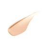 HERA Silky Stay 24H Long Wear Foundation EX 30g 21N1