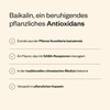 Baicalin 500 mg per day - Contributes to a healthy