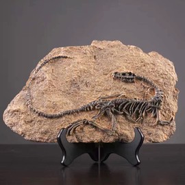 FUNSXBUG Resin Dinosaur Skeleton Fossil Statue Figurines Sculpture Collectibles Home Office Desktop Display Decoration (Dinosaur 2)