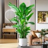 YUjieSTC Plant Stand with Wheels,3.0mm Thick Aluminum Alloy Plant Caddy