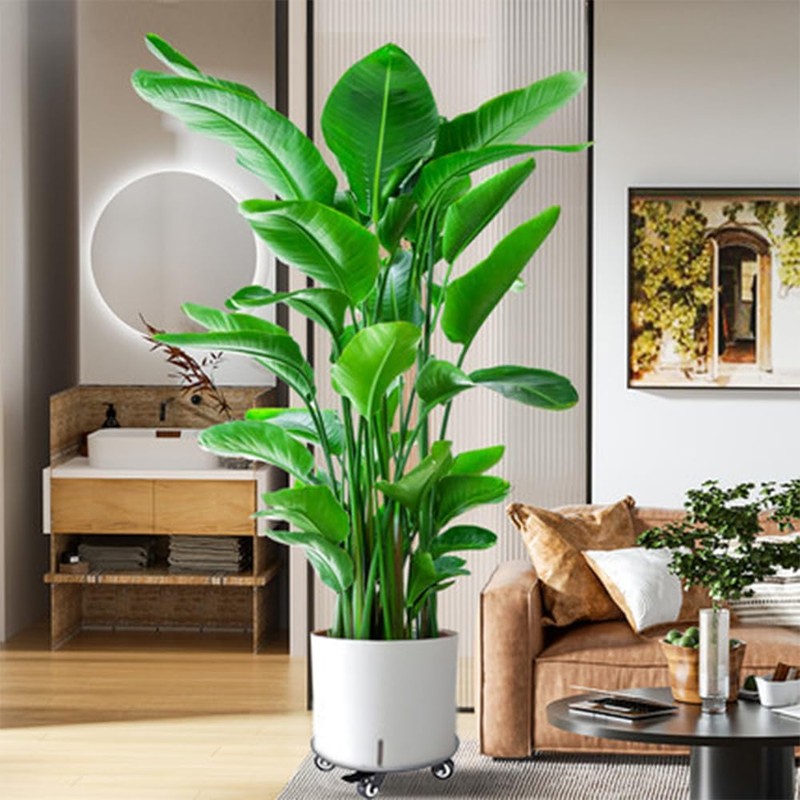 YUjieSTC Plant Stand with Wheels,3.0mm Thick Aluminum Alloy Plant Caddy