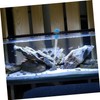 Kisangel Aquarium Water Changer Handheld Siphon Tube 30ml Mini Siphon