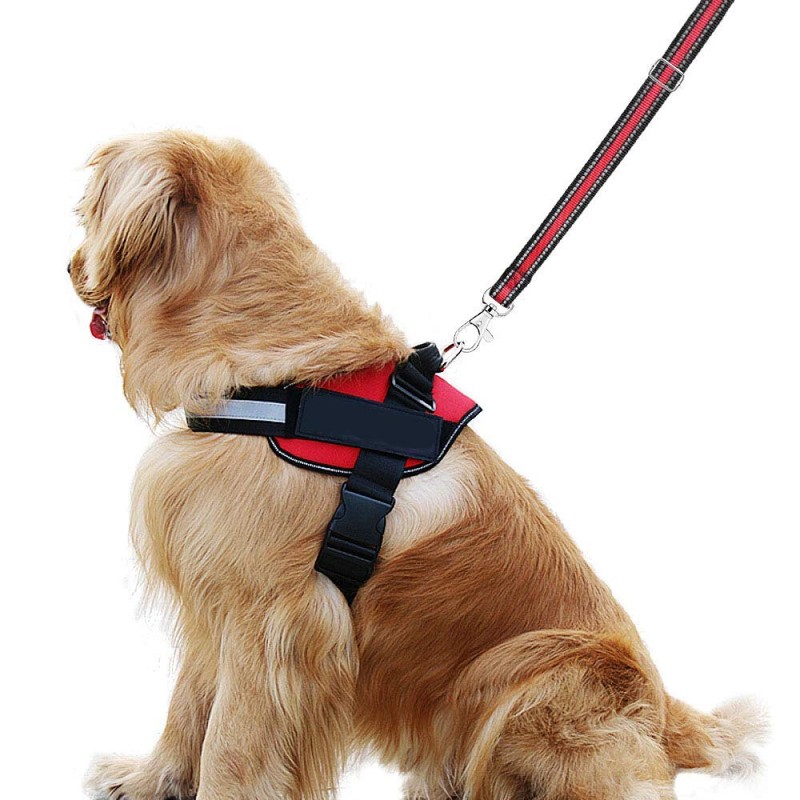 20Pcs Swivel Snap Hooks and D Rings for Lanyard and