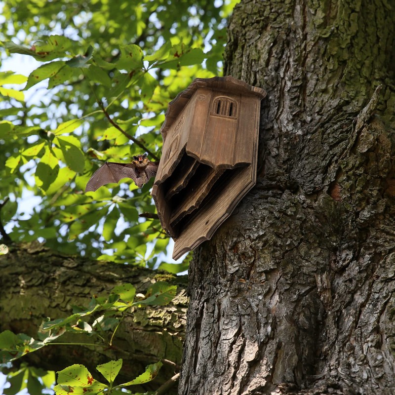 VIREESR Wooden Castle Bat Houses for Outdoors, Bat Boxes for