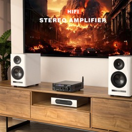 AK-3116 HiFi Stereo Audio Amplifier, 2.0 Channel 100W x 2 Mini Bluetooth Amplifier Class D Digital Amplifier with TPA3116 chip, USB, AUX, FM, Opt, RCA for Home Audio, Stereo Receiver w/ 24V Adapter