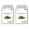 Pine Bark Extract 250 mg | 90 Vegan Capsules |