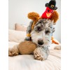 Midlee Pilgrim Turkey Thanksgiving Dog Headband