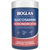 Bioglan Glucosamine + Chondroitin Tab X 180