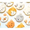 Cat Face Cookie Cutter-2.5 inch-Biscui Cookie Cutters Molds for Kitty