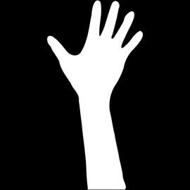 Decal Stickers of Hand 12 (White) (Set of 2) Luxury Weatherproof Vinyl Decal Stickers for Laptop Desktop Smartphone Car Dirt Bike Wall Room Mason Jar Bathtub Door Skateboard - ANDVER1e42133WH_1123