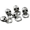5PCS Screw Back Sliver Tone Skull With Ring Biker Chain