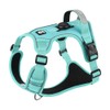 Dog Harness & Viridis & Large (Pet Weight 30.8-49.6 lb),