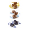AvenueSweets - Handcrafted Dairy Free Vegan Individually Wrapped Soft Caramels - 3 lb Box - Assorted Flavors