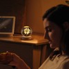 Flexzion 3D Clover Crystal Ball Night Light - LED Light