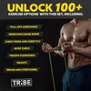 Tribe Lifting Long Resistance Bands – 5 Strength Levels, Durable