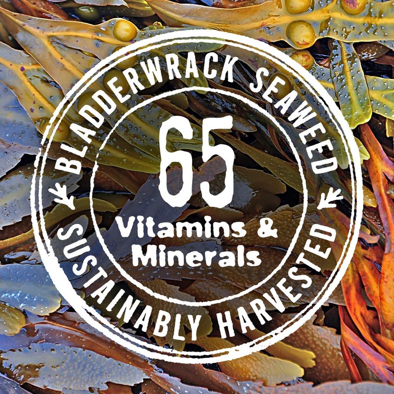 Shampoo and Conditioner Sets Variation (Eucalyptus Peppermint)