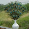 FFDHWU 25 Pieces Of Peacock Feathers, Home Decoration, Diy Handicraft