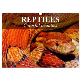 Reptiles Colorful beauties (Wall Calendar 2026 DIN A3 Landscape), CALVENDO 12 Month Wall Calendar