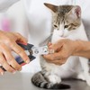 DIGIFLEX Dog Nail Trimmers - Pet Nail Clippers - Stainless