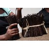 Zazou Emporium - Madagascar Vanilla Pods - Pack of 10