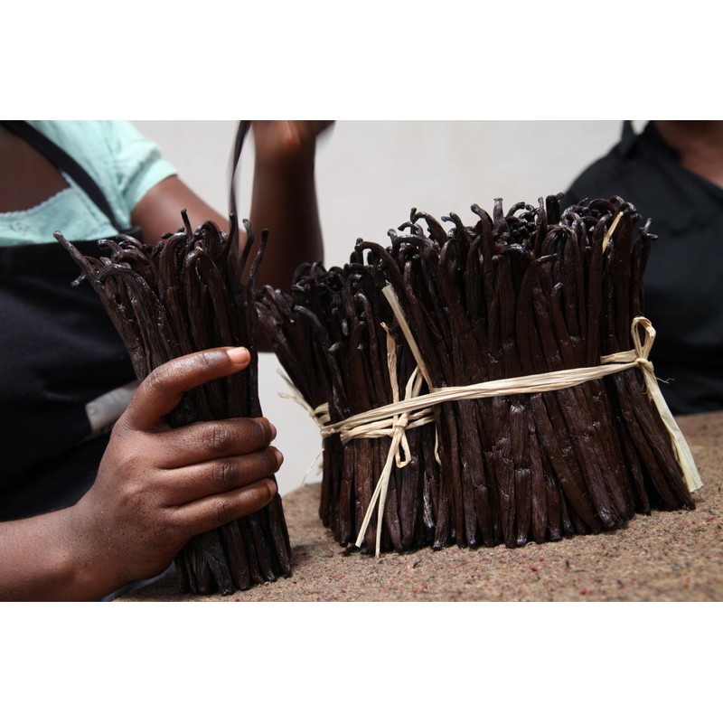 Zazou Emporium - Madagascar Vanilla Pods - Pack of 10