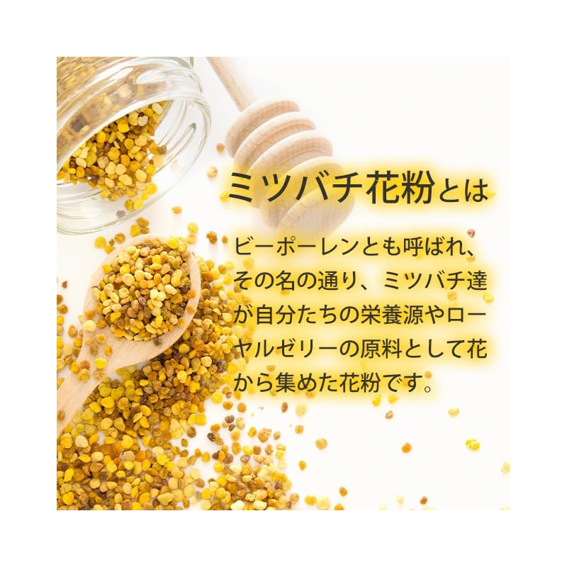 【リプサ公式】 ミツバチ花粉(ビーポーレン) 約3か月分 C-118 サプリメント