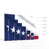 Smile Art Design Texas State Flag Glossy Metal Wall Art