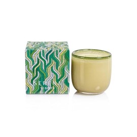 Jardin VERT Zodax Serena Saint Barth Scented Jar Candle 14.5 oz - Gift Boxed